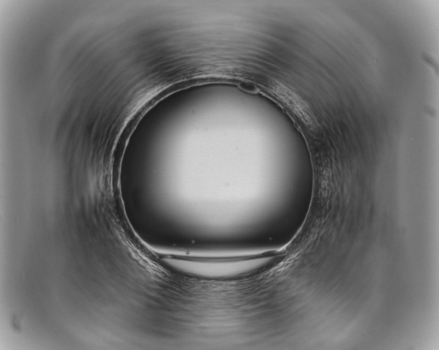 X0000098040884200804111343