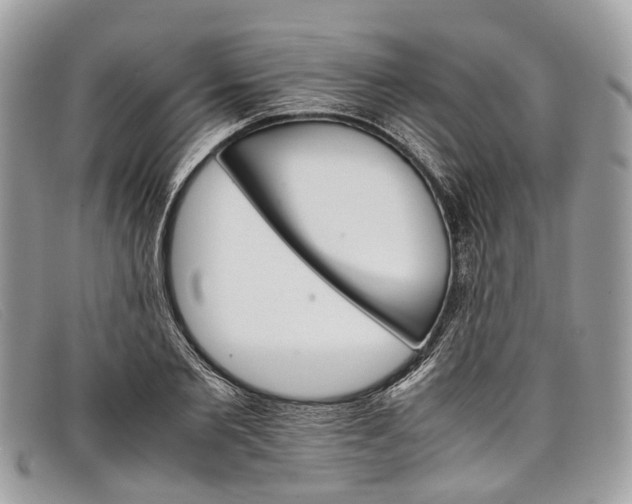 X0000098040885200804111343