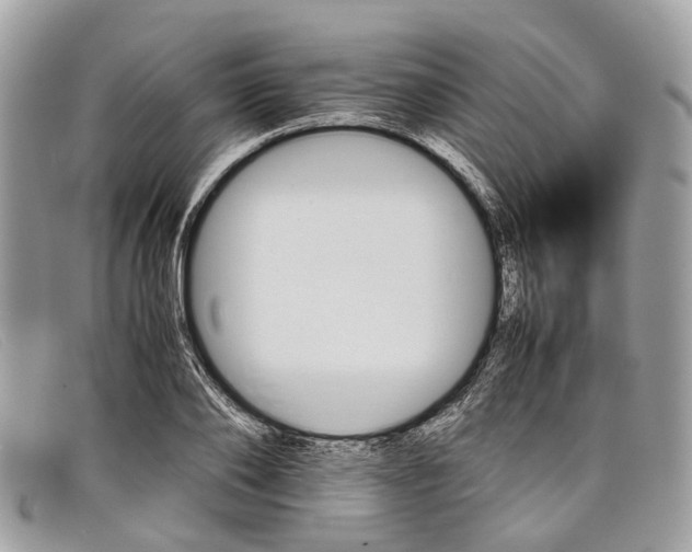 X0000098040886200804111343