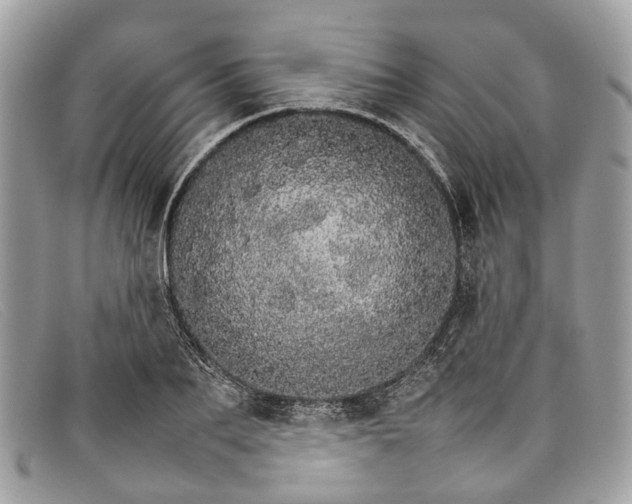 X0000098040887200804111343