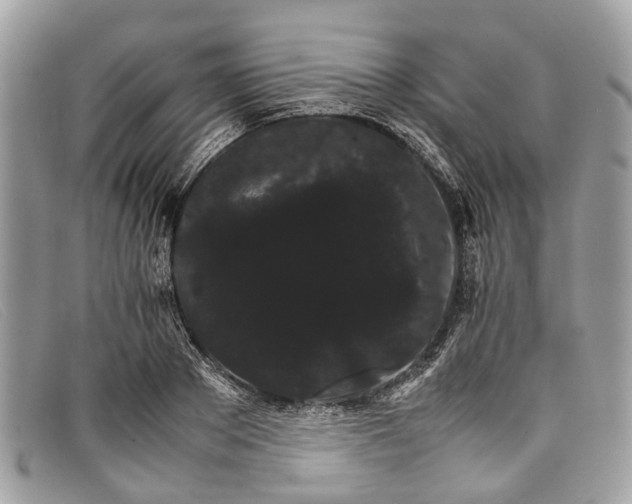 X0000098040889200804111343