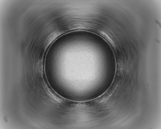 X0000098040890200804111343