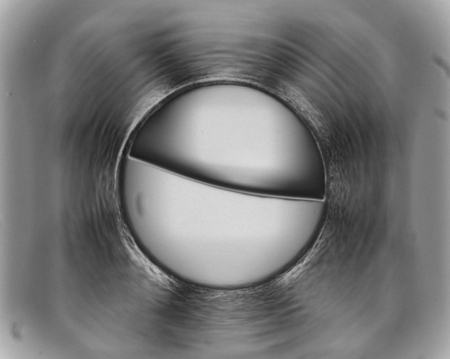X0000098040892200804111343