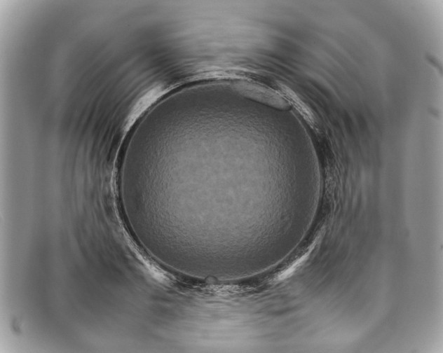 X0000098040893200804111343