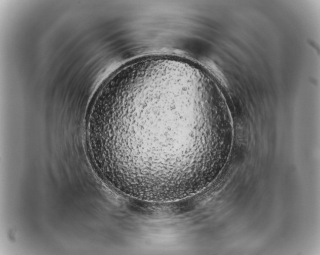 X0000098040895200804111343
