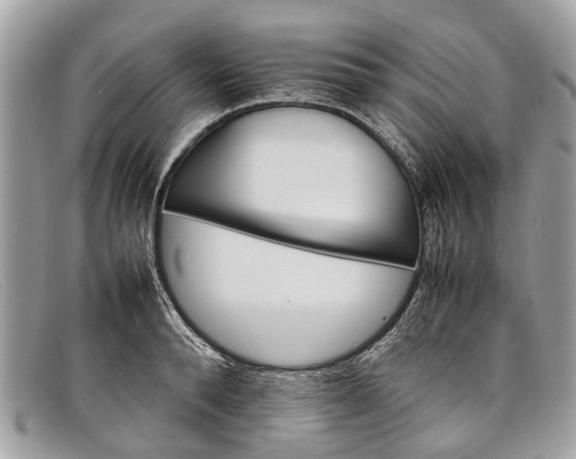 X0000098040896200804111343