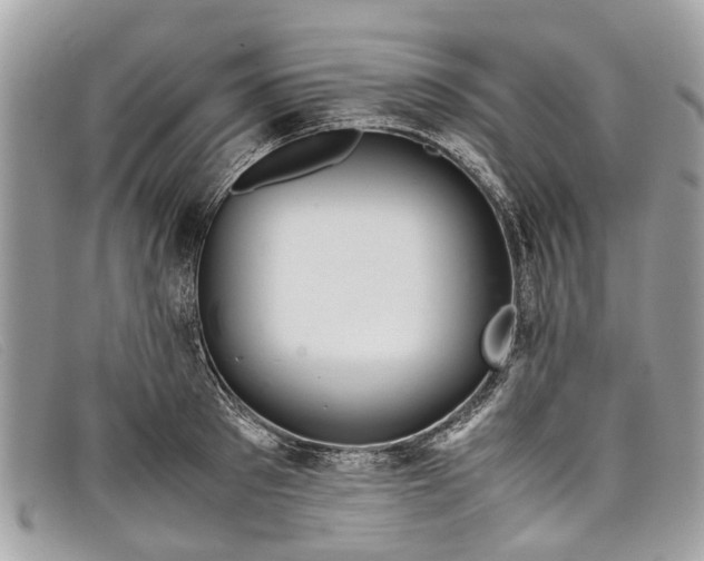 X0000098040897200804111343