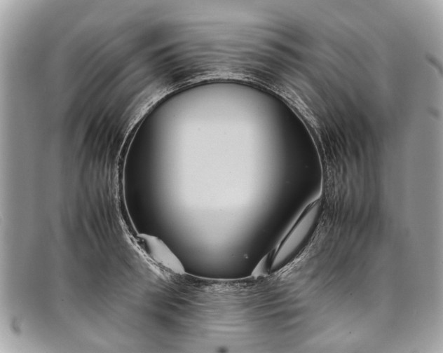 X0000098040898200804111343