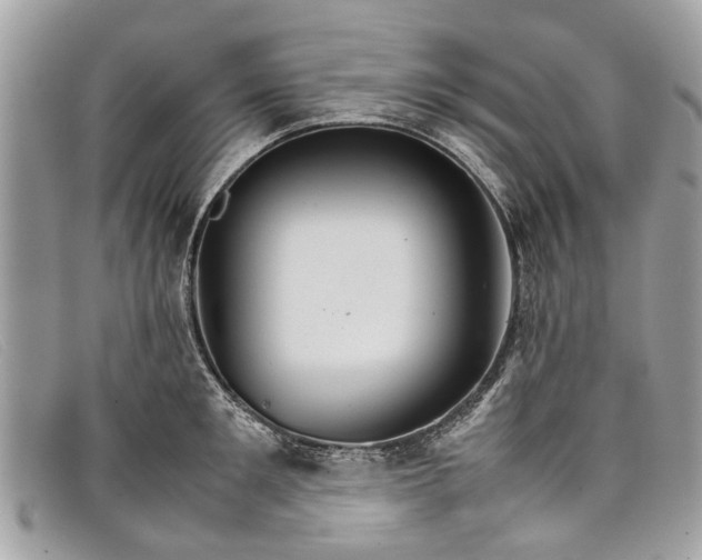 X0000098040901200804111343