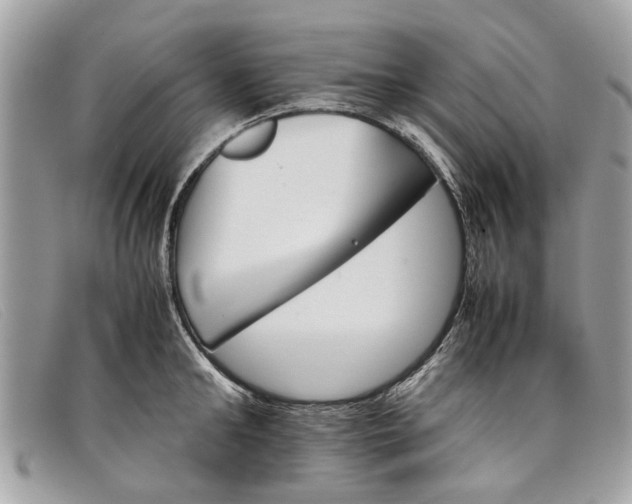 X0000098040902200804111343