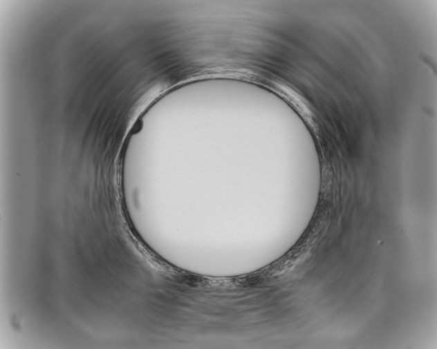 X0000098040907200804111343