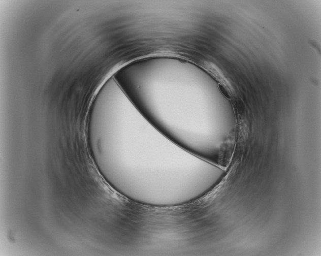 X0000098040908200804111343