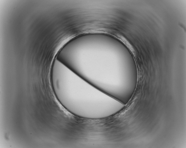 X0000098040909200804111343