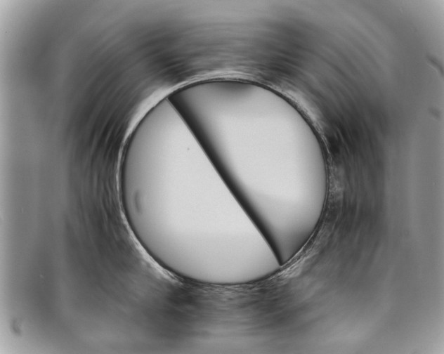 X0000098040910200804111343
