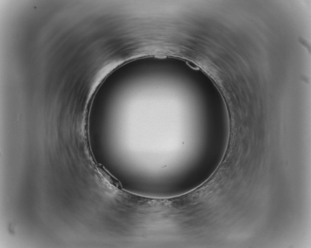 X0000098040912200804111343