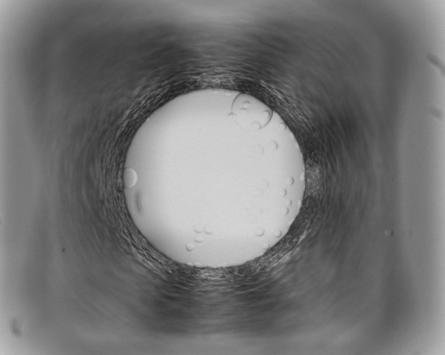 X0000098040913200804111342