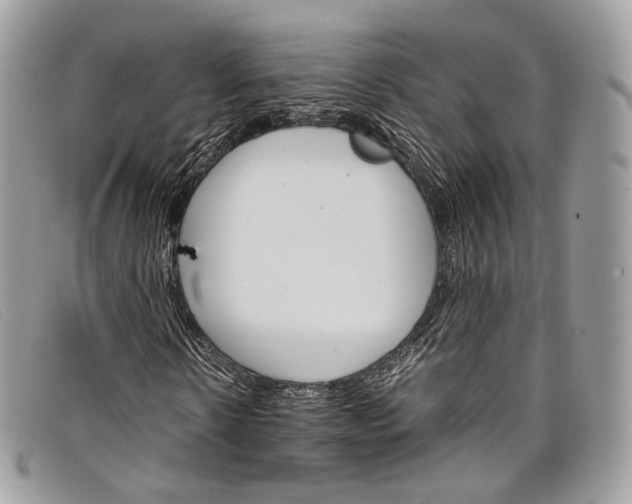 X0000098040914200804111342