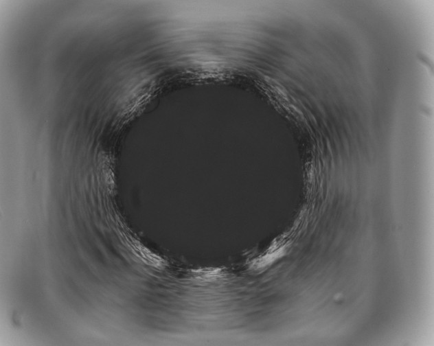 X0000098040916200804111342