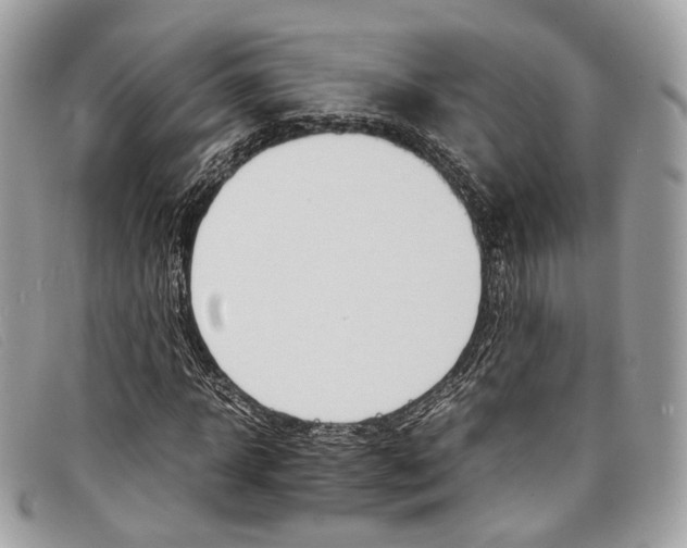 X0000098040918200804111342