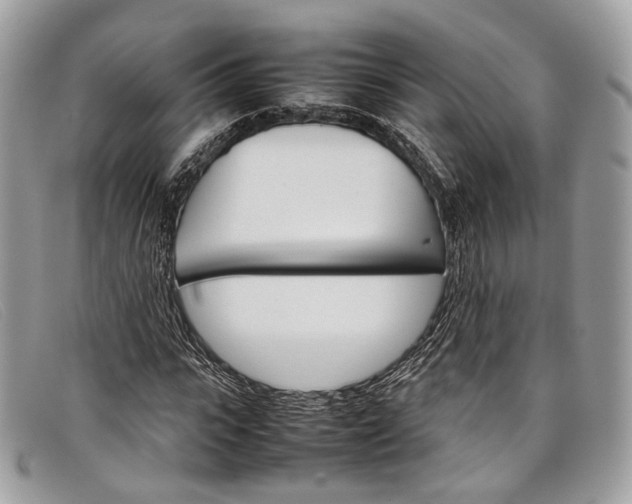 X0000098040919200804111342