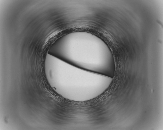 X0000098040920200804111342