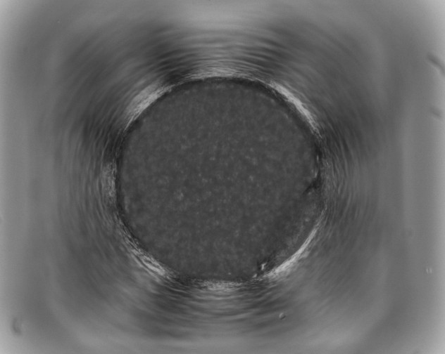 X0000098040921200804111342