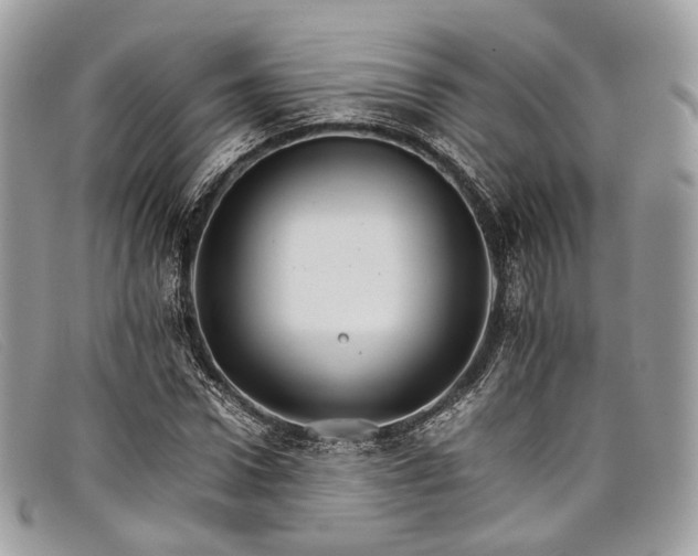 X0000098040922200804111342