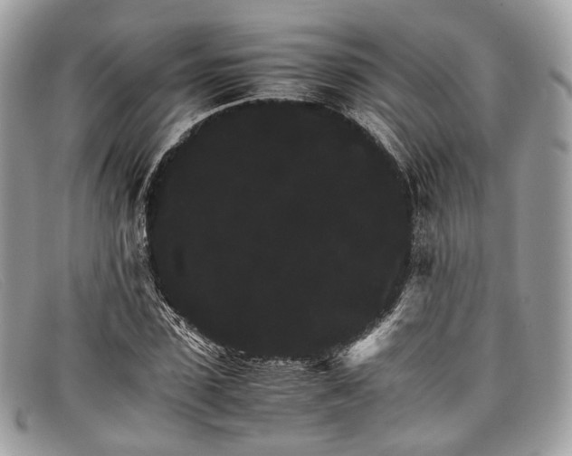 X0000098040923200804111342