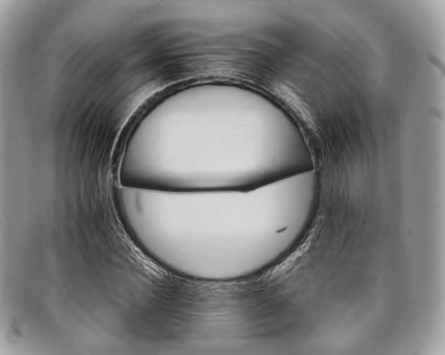 X0000098040924200804111342