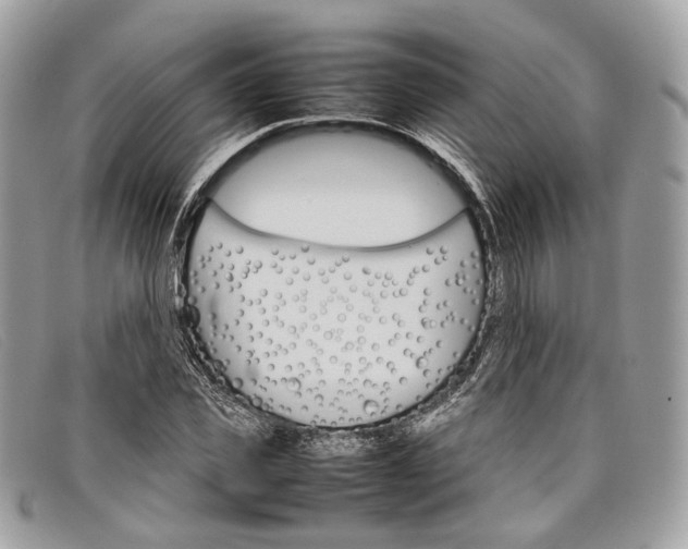 X0000098040925200804111342