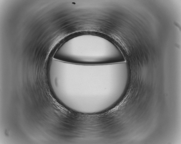 X0000098040926200804111342