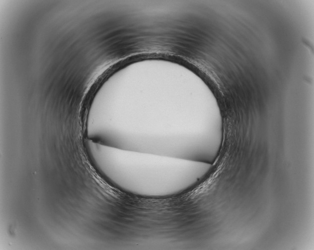 X0000098040927200804111342