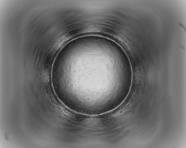 X0000098040929200804111342