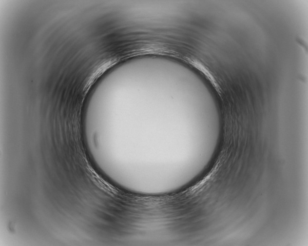 X0000098040930200804111342