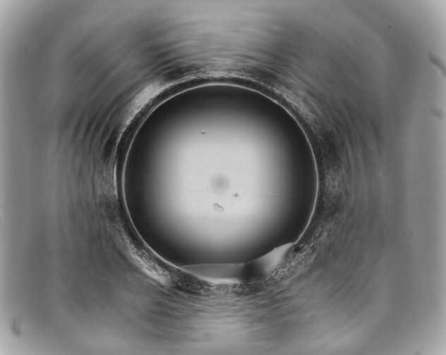 X0000098040934200804111342