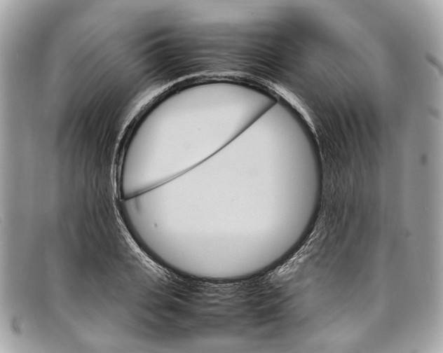 X0000098040935200804111342