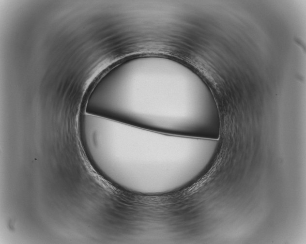 X0000098040936200804111342