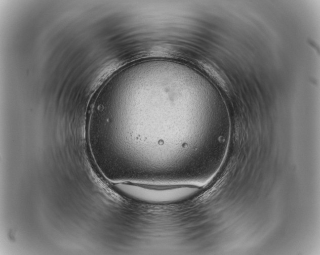 X0000098040938200804111342