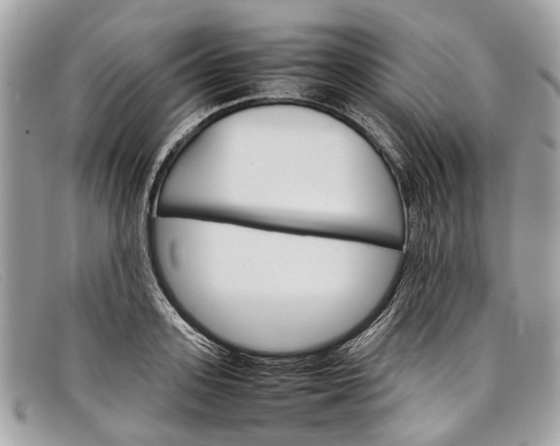 X0000098040939200804111342