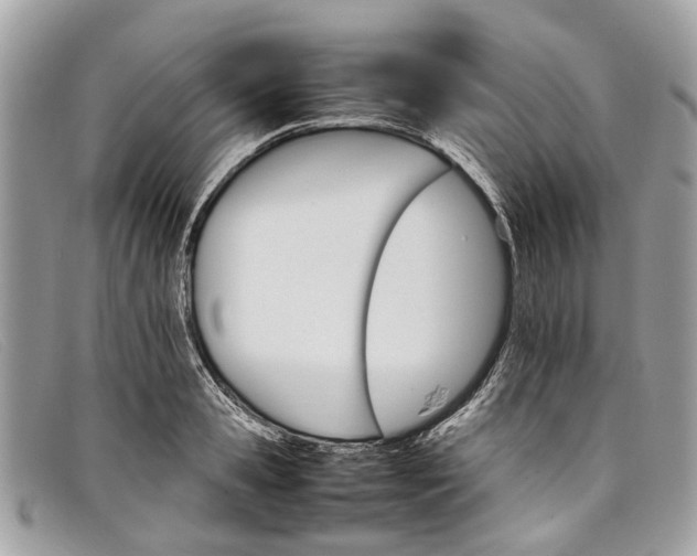 X0000098040941200804111342