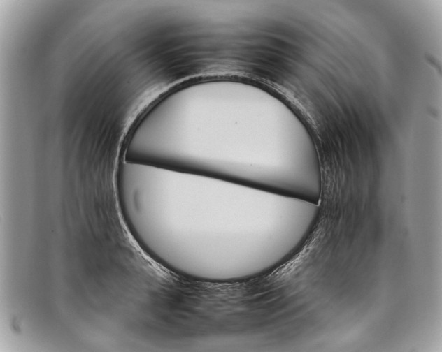 X0000098040943200804111342