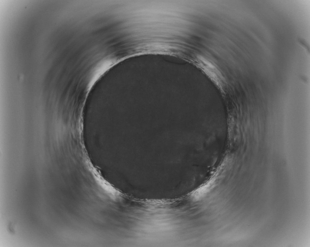 X0000098040944200804111342