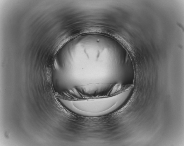 X0000098040945200804111342