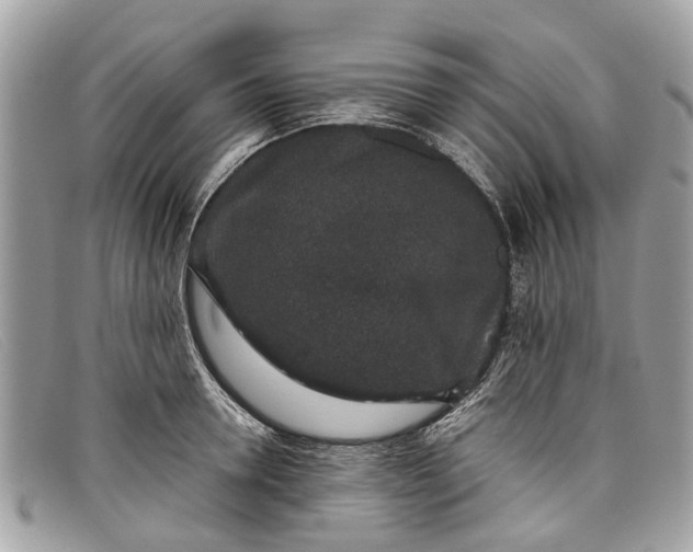 X0000098040946200804111342