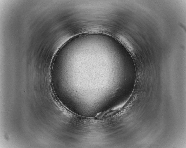 X0000098040948200804111342