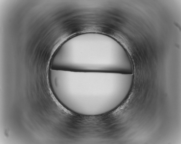 X0000098040949200804111343