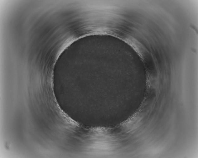 X0000098040950200804111343