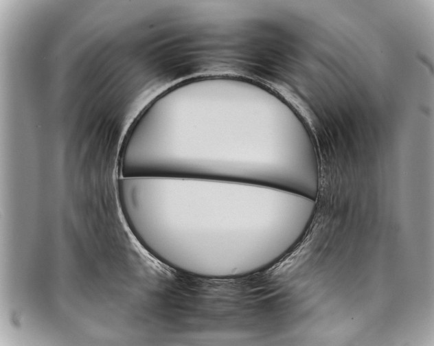 X0000098040951200804111343