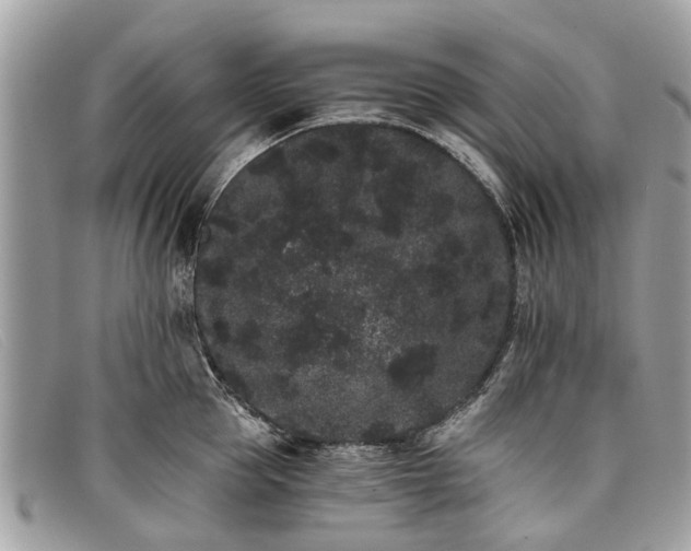 X0000098040953200804111343