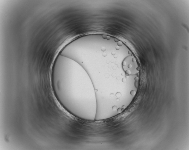 X0000098040957200804111343